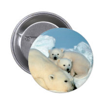 Polar Bear Family Button