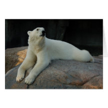 Polar Bear greeting card