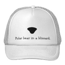 Polar Bear in a Blizzard Hat