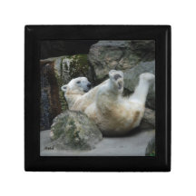 Polar Bear Jewelry Boxes