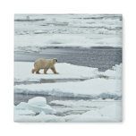 Polar Bear Magnets