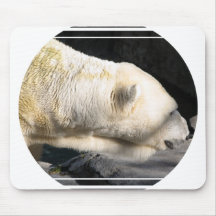 Polar Bear Mouse Pads