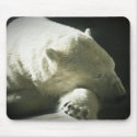 Polar Bear mousepads