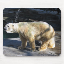Polar Bear Mousepads