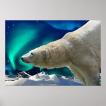 Polar Bear & Northern Lights Wildlife Art Poster