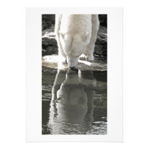 Polar Bear, Part Black and White (7) Custom Announcements