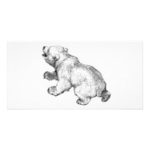 POLAR BEAR PHOTO GREETING CARD