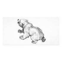 POLAR BEAR PHOTO GREETING CARD