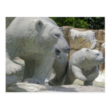 Polar Bear Post Card