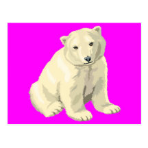 Polar Bear Post Cards