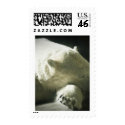 Polar Bear postage