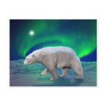 Polar Bear Postcards