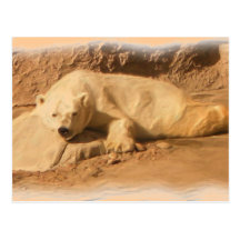 Polar Bear postcard