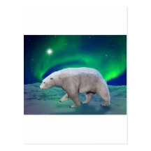 Polar Bear Postcards
