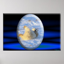 Polar Bear poster #6