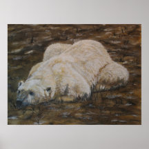 Polar  Bear Print