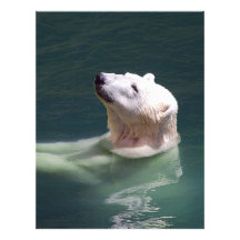 Polar bear resting letterhead design