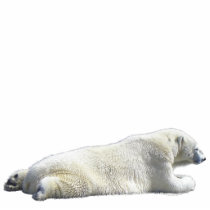 POLAR BEAR (sculpted) Wildlife Magnet Photo Sculpture