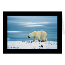 Polar Bear Solo Walk Greeting Card