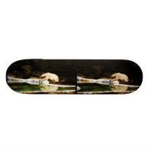 Polar Bear Stereophoto Skate Board Deck