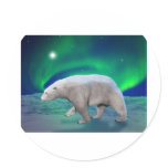 Polar Bear Round Stickers