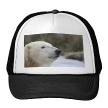 Polar Bear Trucker Hats