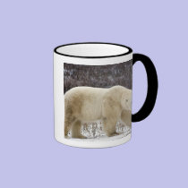 Polar Bear Ursus maritimus) in Churchill mugs