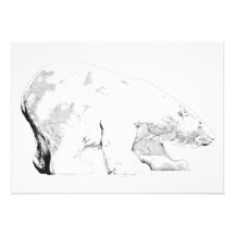 Polar Bear, White Background (6) Custom Invite