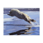 Polar Bear Wildlife Series #13 Postcard