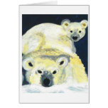 polar bears 001 cards