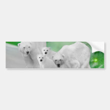 Polar Bears, cubs and northern lights Bumper Stickers