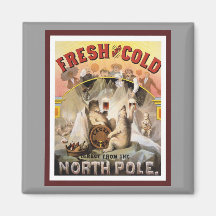 Polar Bears Drinking Lagers Magnets