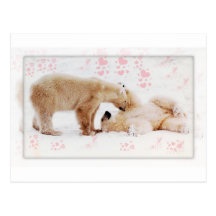 Polar bears in love postcard