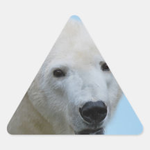 Polar bears profile stickers