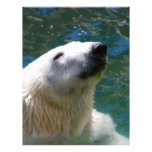 Polar bears smile letterhead template