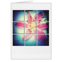 Polar-flower Kaart