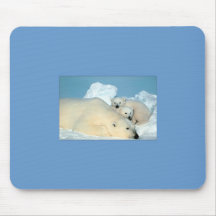 Polar Mom and Cubs Mousepad
