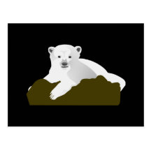 Polar Postcards