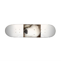 Polar Skate Board