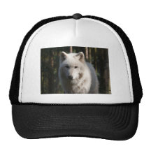 Polar Wolf Mesh Hats