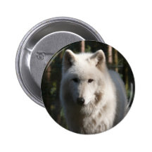 Polar Wolf Pins