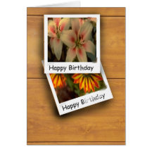 Polaroid Birthday Cards