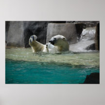Polars Bears Posters