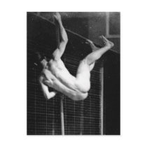 Pole Vaulter - Muybridge Vintage Photo 1885 Post Cards