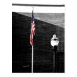 Poles Post Card