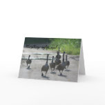 Polish Birthday Sto Lat Canada Geese Card