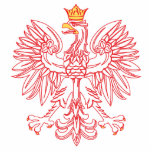 Polish Eagle Outlined In Red photo sculptures