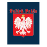 Polish Pride Eagle Postcard