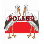 Polish White Stork Poland t-shirts