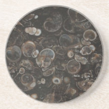 Polished Rock Print (Turritella Agate) Coaster